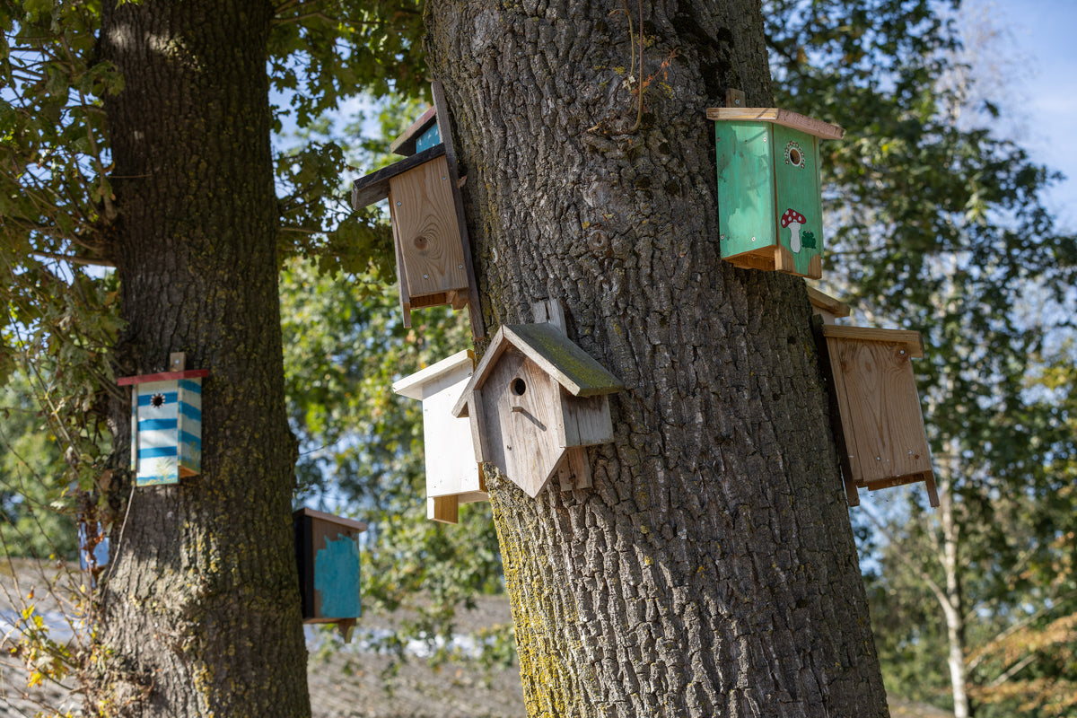 Vogelhuisjes uit de houtschuur aan een boom