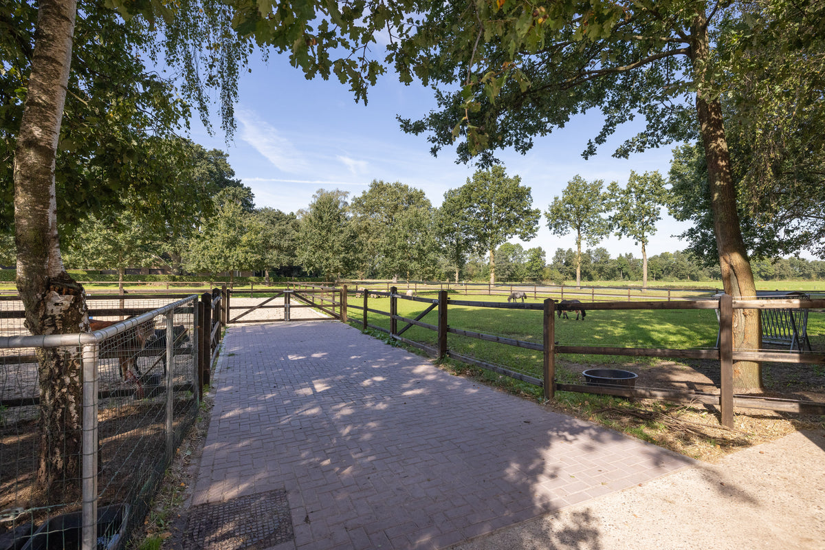 Pad langs de weilanden