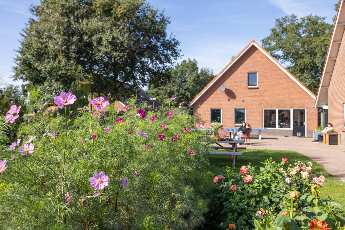 Woonhuis met bloeiende tuin in Geesteren
